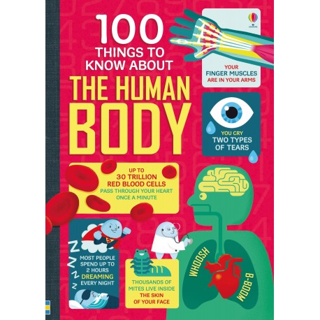 Usborne: 100 Things to Know About the Human Body
