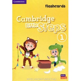 Cambridge Little Steps 1 Flashcards