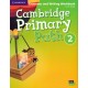 Cambridge Primary Path 2 Grammar and Writing Workbook