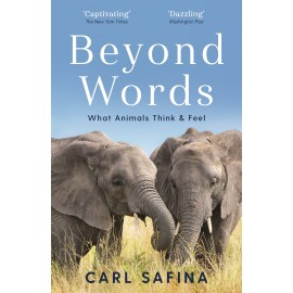 Beyond Words : What Animals Think and Feel