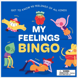 My Feelings Bingo: Get To Know 48 Feelings of All Kinds