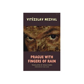 Prague With Fingers Of Rain
