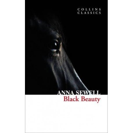 Black Beauty Black Beauty