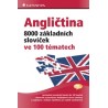 Angličtina 8000 základních slovíček ve 100 tématech