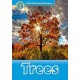Discover! 1 Trees