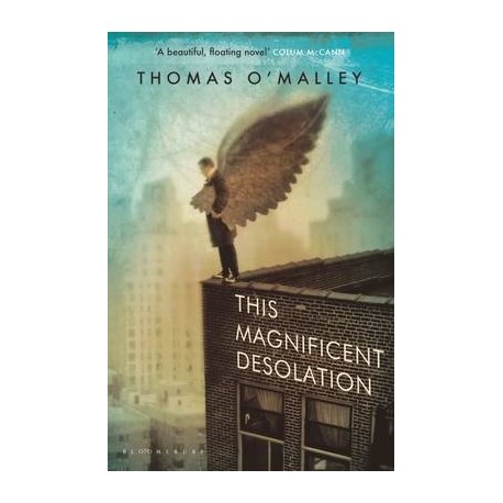 This Magnificent Desolation