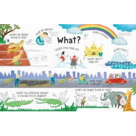 Usborne: Lift-the-flap Questions and Answers