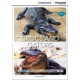Crocs and Gators + Online Access