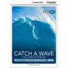 Catch a Wave: The Story of Surfing + Online Access