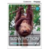 Slow Motion: Taking Your Time + Online Access