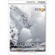 Avalanche! + Online Access