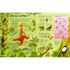 See Inside Science Flap Book