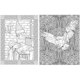 Harry Potter Colouring Book