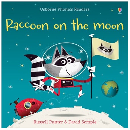 Raccoon on the Moon