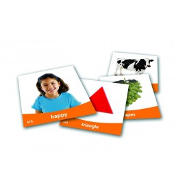 Basic Vocabulary Photo Cards