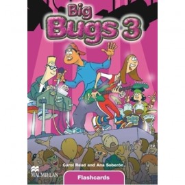 Big Bugs 3 Flashcards