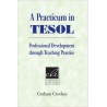 A Practicum in TESOL