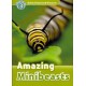 Discover! 3 Amazing Minibeasts + Audio CD