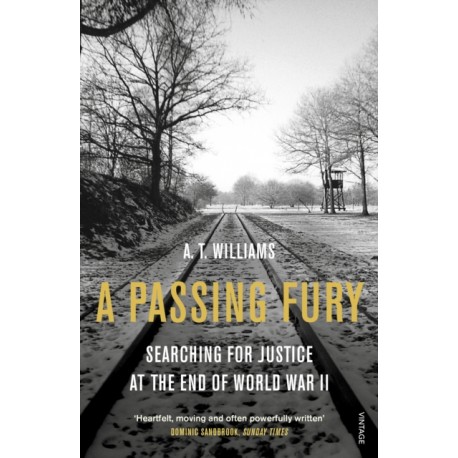 A Passing Fury