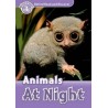 Discover! 4 Animals at Night
