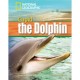 National Geographic Footprint Reading: Cupid the Dolphin+ DVD
