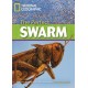 National Geographic Footprint Readers: The Perfect Swarm + DVD
