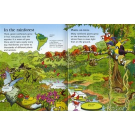 Usborne First Encyclopedia of Our World