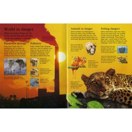 Usborne First Encyclopedia of Our World