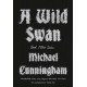 A Wild Swan and Other Tales
