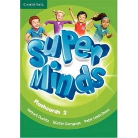 Super Minds 2 Flashcards
