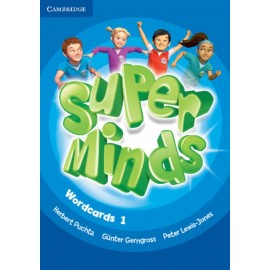 Super Minds 1 Wordcards