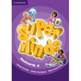 Super Minds 6 Flashcards