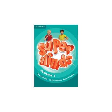 Super Minds 3 Flashcards
