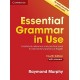 Essential Grammar in Use Fourth Edition with Answers