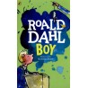 Boy: Tales of Childhood