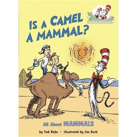 Is a Camel a Mammal? Is a Camel a Mammal?
