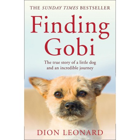 Finding Gobi
