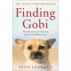Finding Gobi