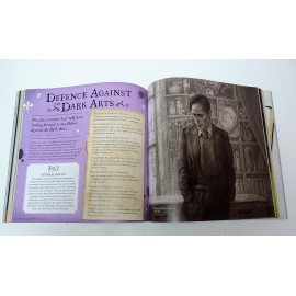 Harry Potter: A Journey Through A History of Magic