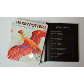 Harry Potter: A History of Magic