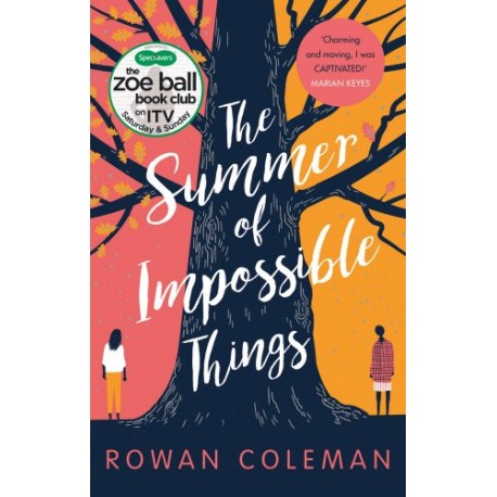 The Summer of Impossible Things