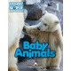 Explore our World - Baby animals - Reader with cross-platform application (level 1)