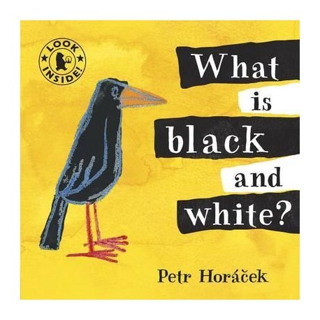 What is black and white?