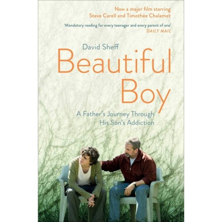 Beautiful Boy : A Father's Journey Through His Son's Addiction