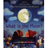 Usborne Lift-The-Flap Very First Questions and Answers: What is the Moon?