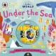 Little World: Under the Sea : A push-and-pull adventure