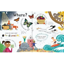 Lift-The-Flap Questions and Answers about Nature
