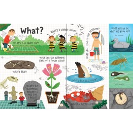 Lift-The-Flap Questions and Answers about Nature