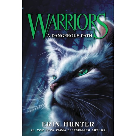 Warriors 5 : A Dangerous Path