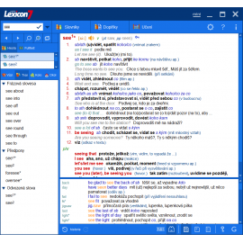 Lexicon 7 Anglický praktický slovník